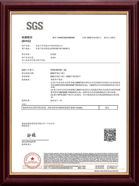 XINGYU 2022.REACH.C